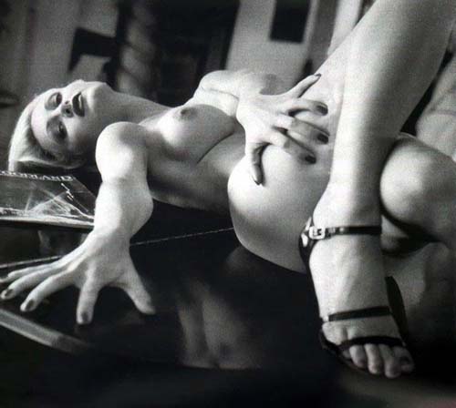 The Jose Wombat Project: 36 ways to fly with an albatross.