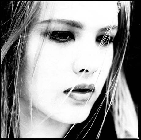 The Jose Wombat Project: Other places to look at it. Other ways to see it.