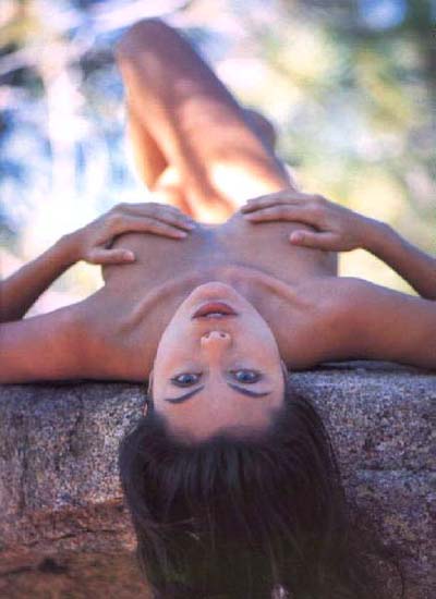 The Jose Wombat Project: Other places to look at it. Other ways to see it.